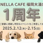 「ANELLA CAFE 福岡大濠店」が1周年記念イベントを開催、保護犬・保護猫と“ふれあうこと”が支援となる場所の歩み