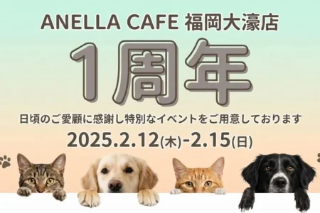 「ANELLA CAFE 福岡大濠店」が1周年記念イベントを開催、保護犬・保護猫と“ふれあうこと”が支援となる場所の歩み