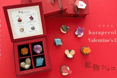 ハラペコラボ、「鉱物ショコラ」を期間限定販売開始：九州の厳選素材とチョコレートが織りなす芸術的な逸品