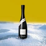 「°Ondo 000 Vintage Sake Perpetual Style」が「食べるJAPAN 美味アワード2026」美酒部門で認定を獲得