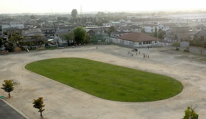 鴻巣市の校庭芝生化