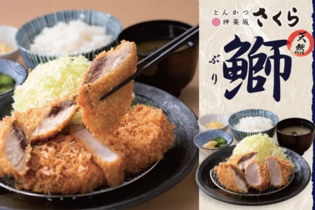 とんかつ神楽坂さくら、冬から春へ移ろう季節に「天然ぶりのフライ」を期間限定で提供開始