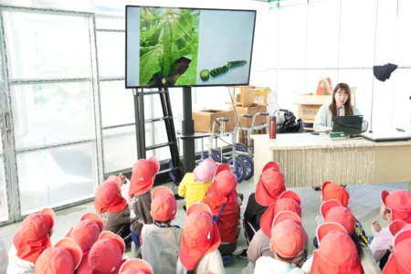 welzo研究農場、内浜保育園との協働で食育推進：年長園児43名がきゅうり104kg超を収穫