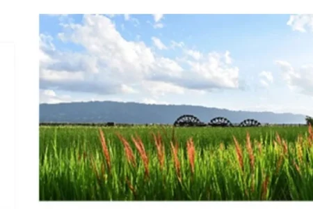 産学官連携プロジェクト「KSUちはやSAプロジェクト」第4弾 福岡県朝倉市の魅力を発信する「朝倉SA」がガーデンズ千早に期間限定オープン