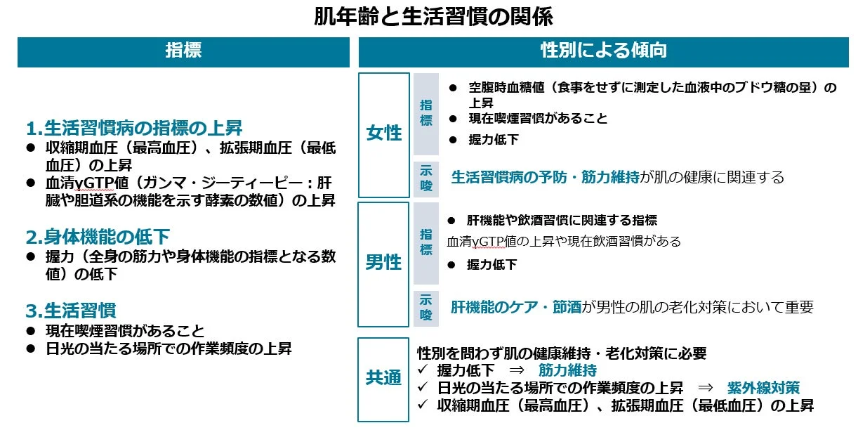 肌年齢と生活習慣の関係性を示す図
