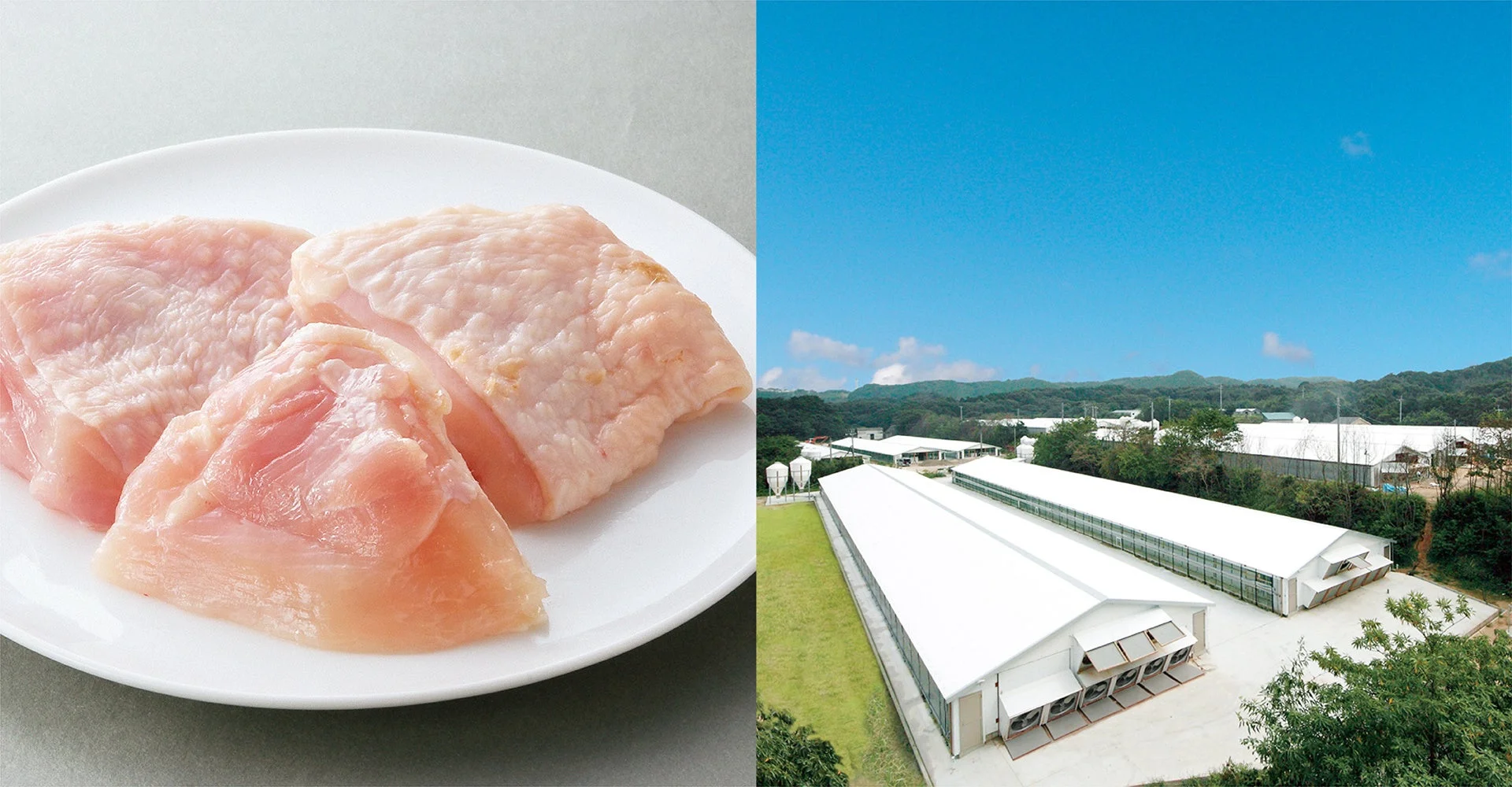 九州産「華味鳥」