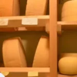 嘉麻市とRistorante fanfareが織りなす一夜限りの美食体験「Kama-City × Ristorante fanfare 2026 vol.1」開催