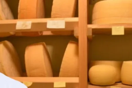 嘉麻市とRistorante fanfareが織りなす一夜限りの美食体験「Kama-City × Ristorante fanfare 2026 vol.1」開催