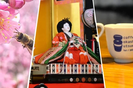 伊万里の雛祭りと焼き物文化を楽しむ