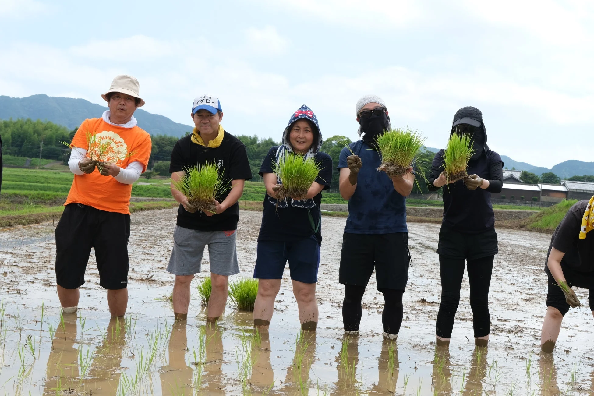 田植えをする人々