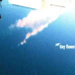 札幌発ロックバンドHIKAGE、EP『human.』よりリード曲「tiny flower」を先行配信開始