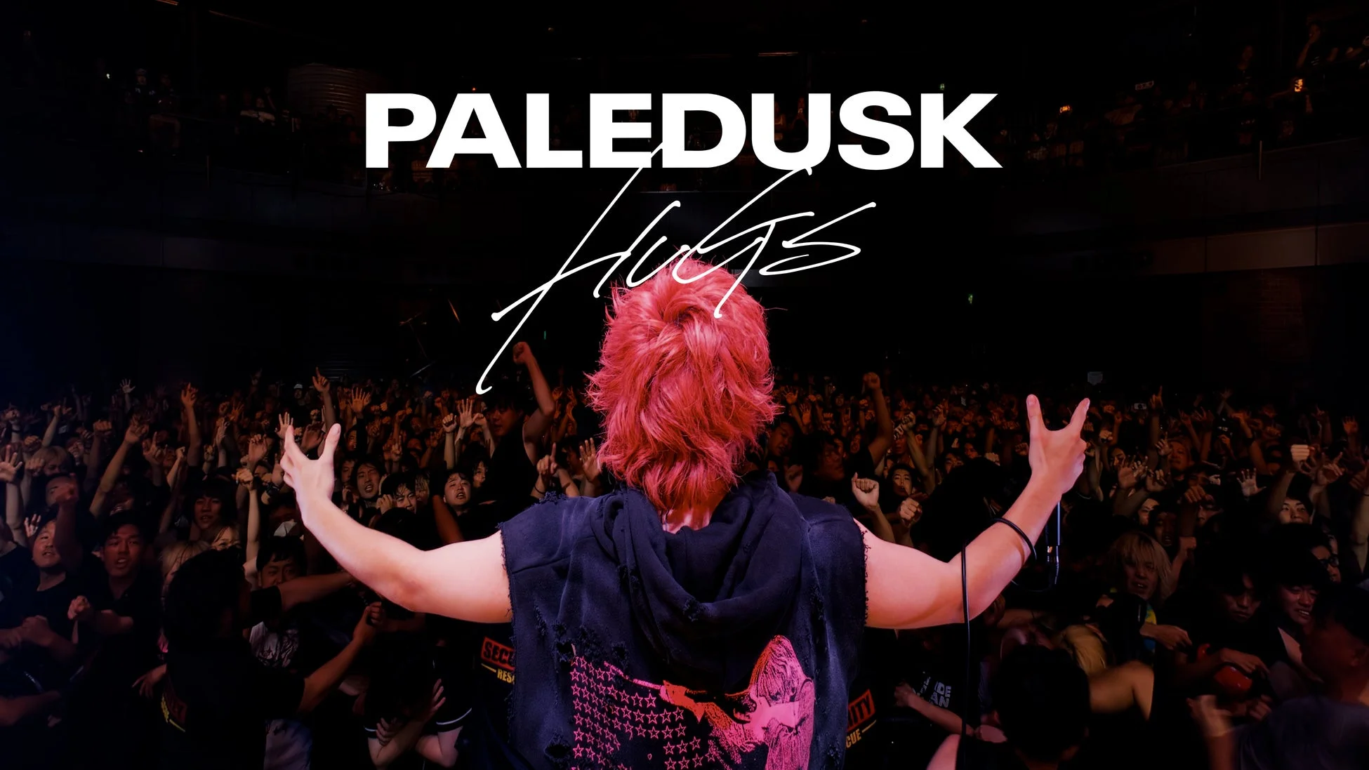 Paledusk HUGs ライブ