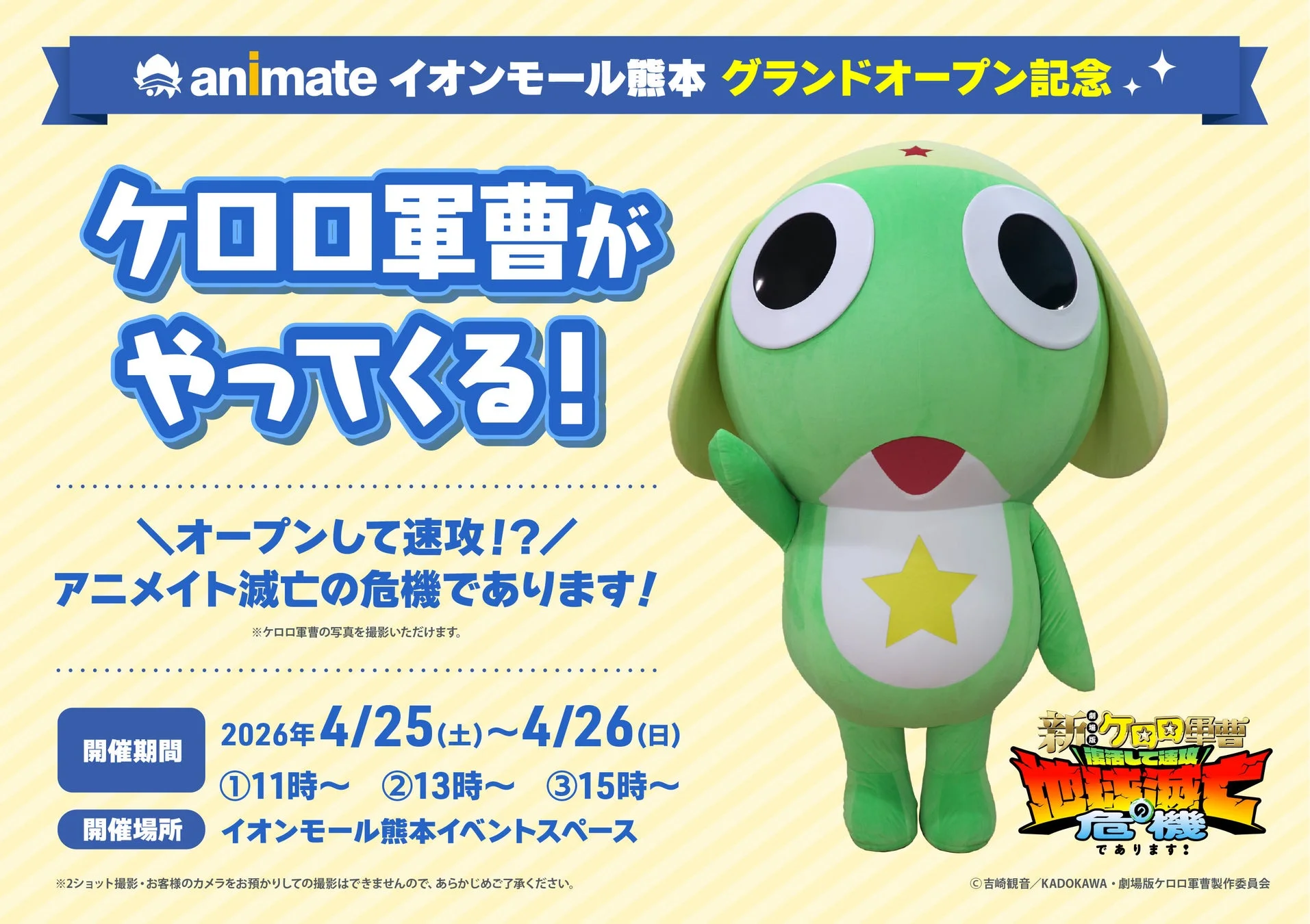 キャンペーン情報