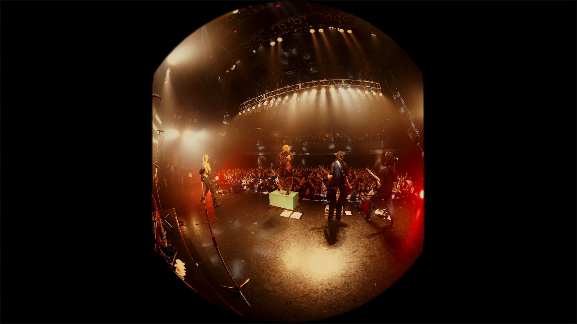 Paleduskライブ風景3