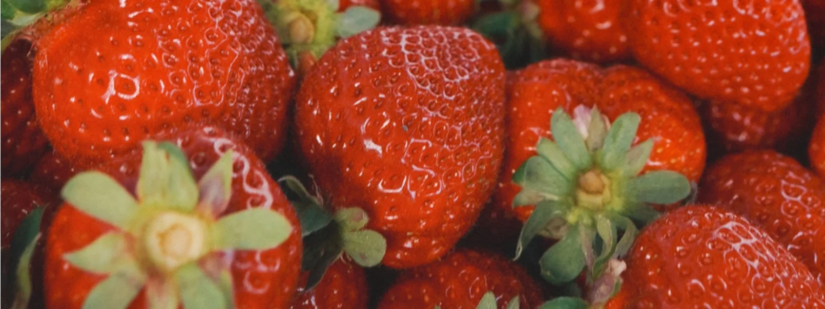 新鮮で真っ赤ないちごが多数写っています。緑色のヘタもいくつか見え、みずみずしさと甘さを感じさせるクローズアップ写真です。