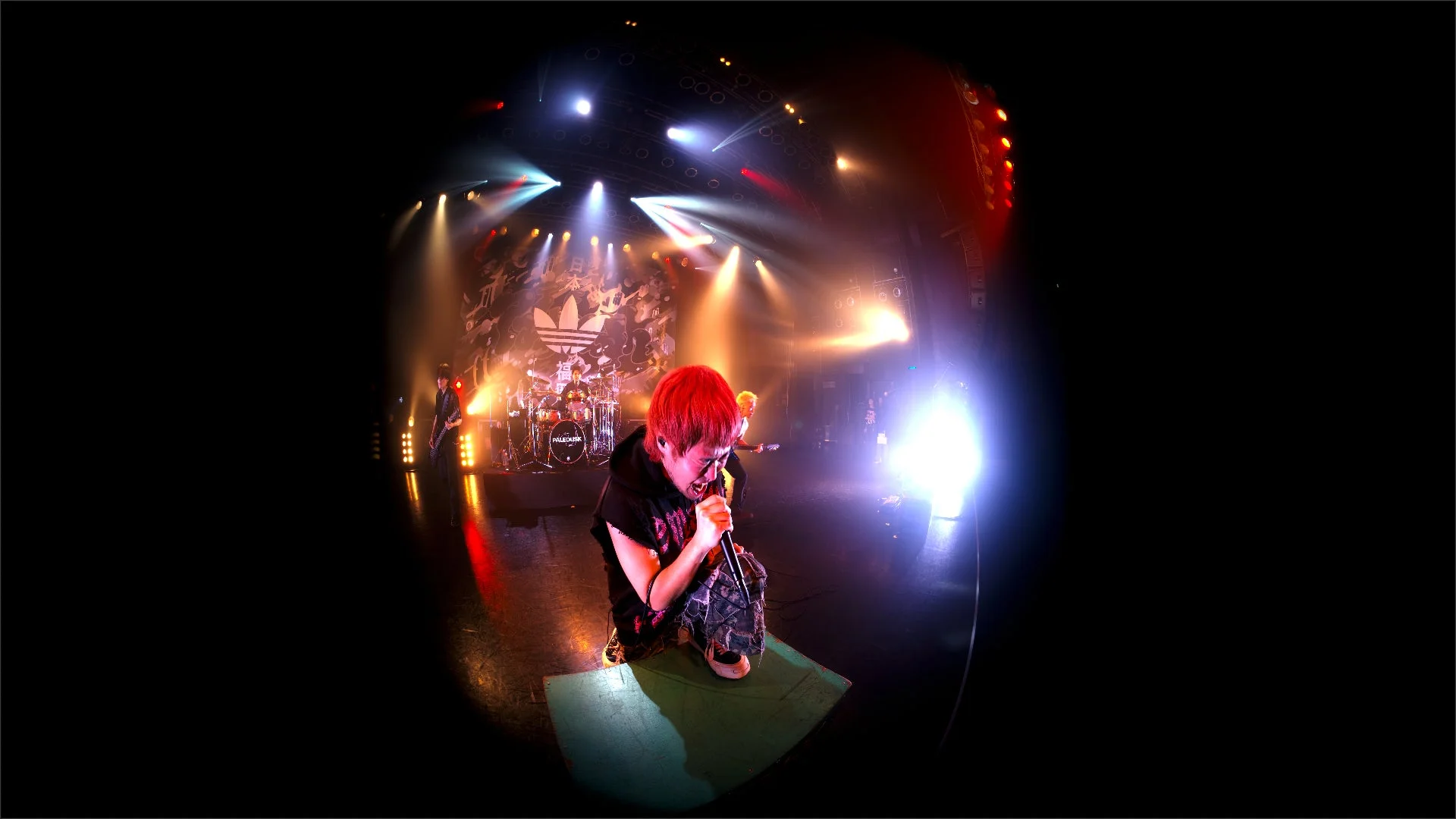 Paleduskライブ風景2