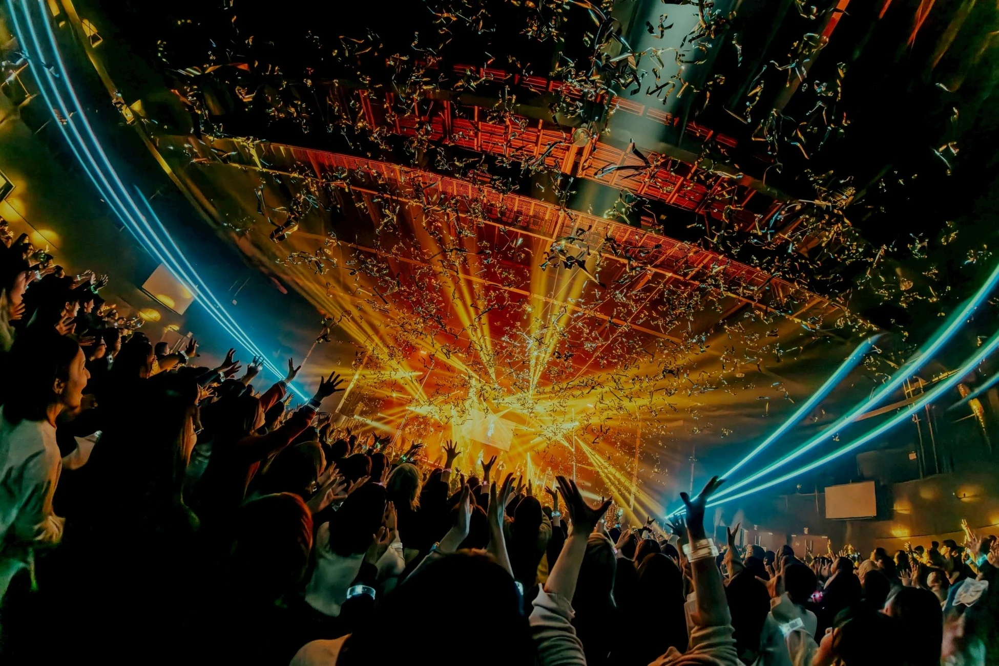 ライブ中の観客の様子