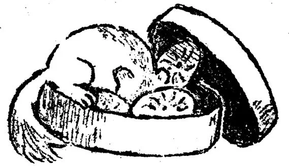 ヤマネのイラスト