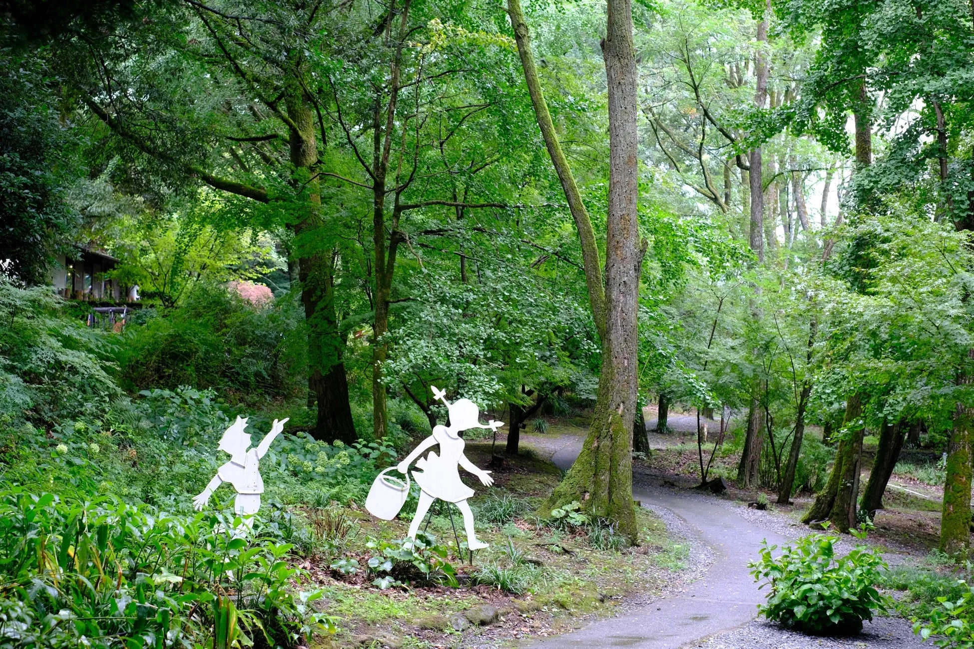 緑豊かな森の中の小道