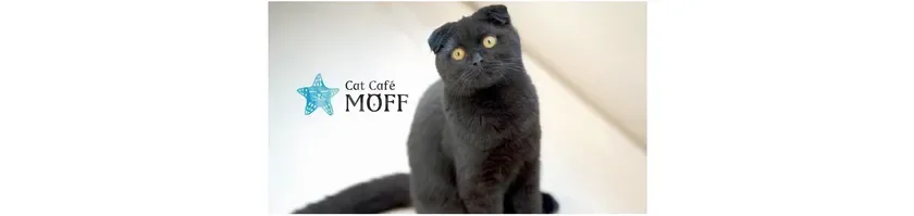 Cat Cafe MOFF 沖縄国際通り店