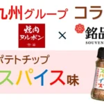 JR九州グループとのコラボレーション第一弾！『ポテトハウス ポテトチップ トドメのスパイス味』数量限定で新発売