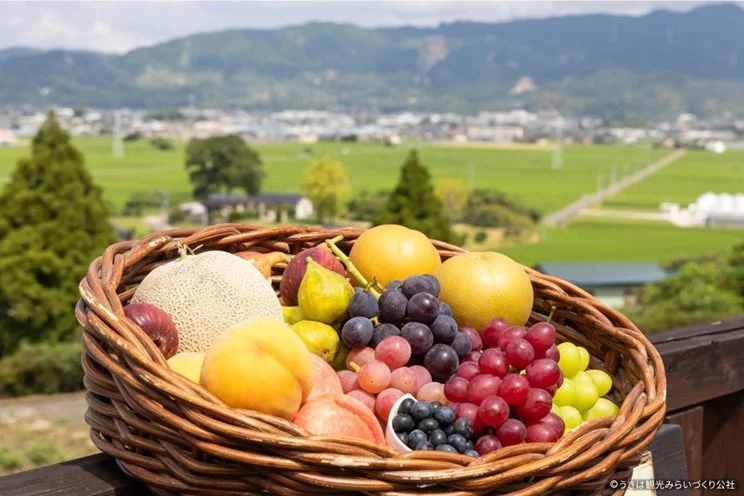 様々な種類の新鮮な果物が盛られたバスケット