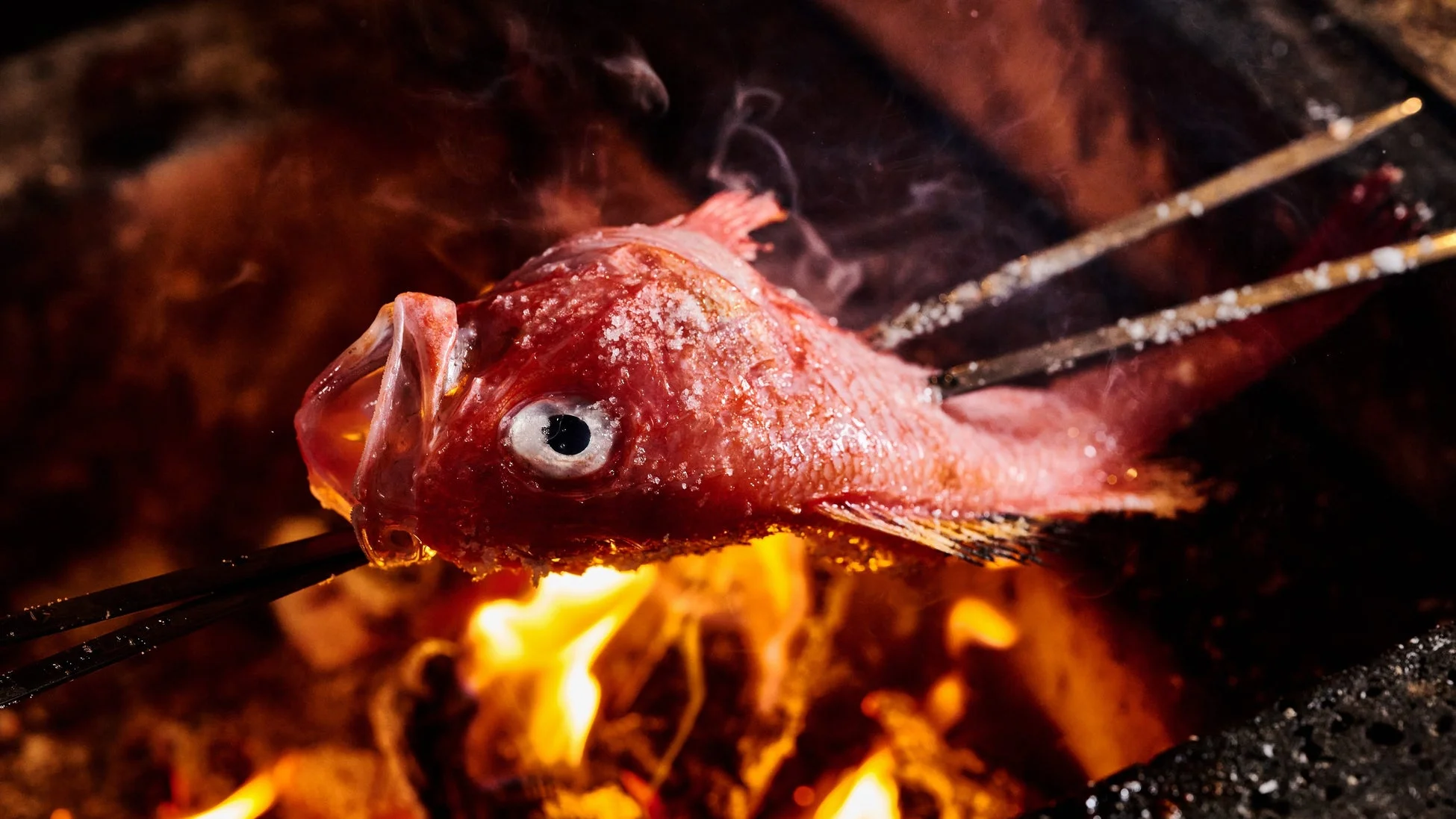 炎が燃え盛る炭火の上で焼かれる魚