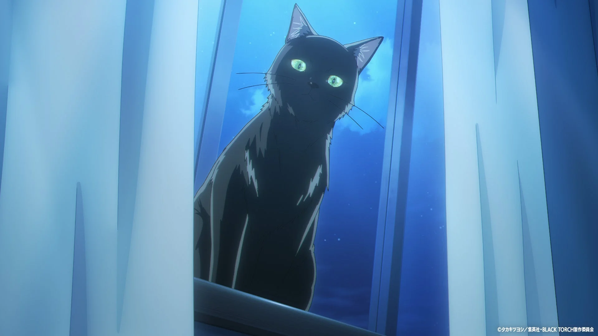 窓辺の黒猫