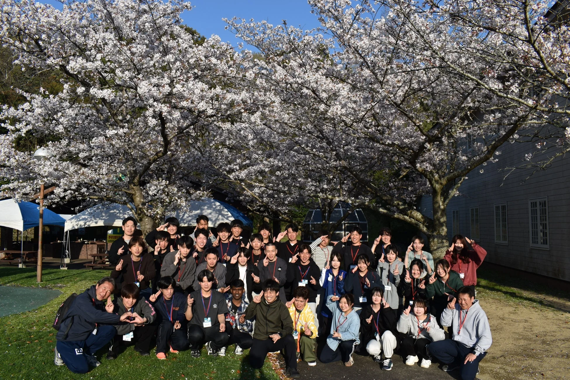 集合写真、桜、春、学生、イベント、屋外、グループ、笑顔、日本、満開、記念写真、自然、青空