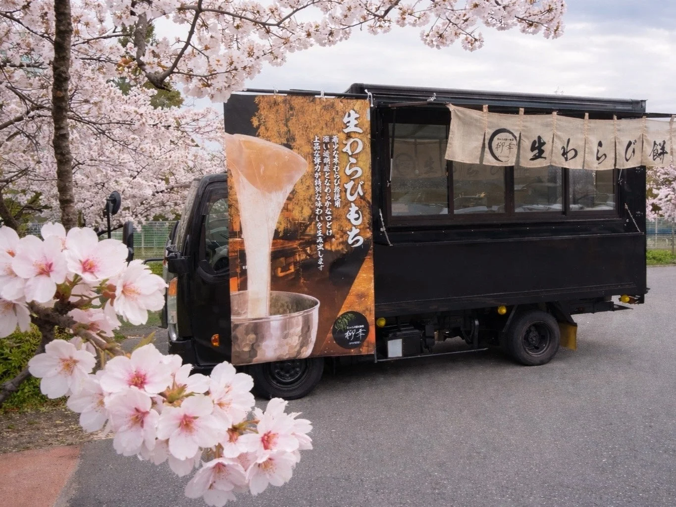 満開の桜並木の下に停車した黒いフードトラック。看板には「生わらびもち」と書かれており、香ばしい黒蜜ときなこが特徴の和菓子を販売している様子が伺えます。春の訪れを感じさせる一枚です。