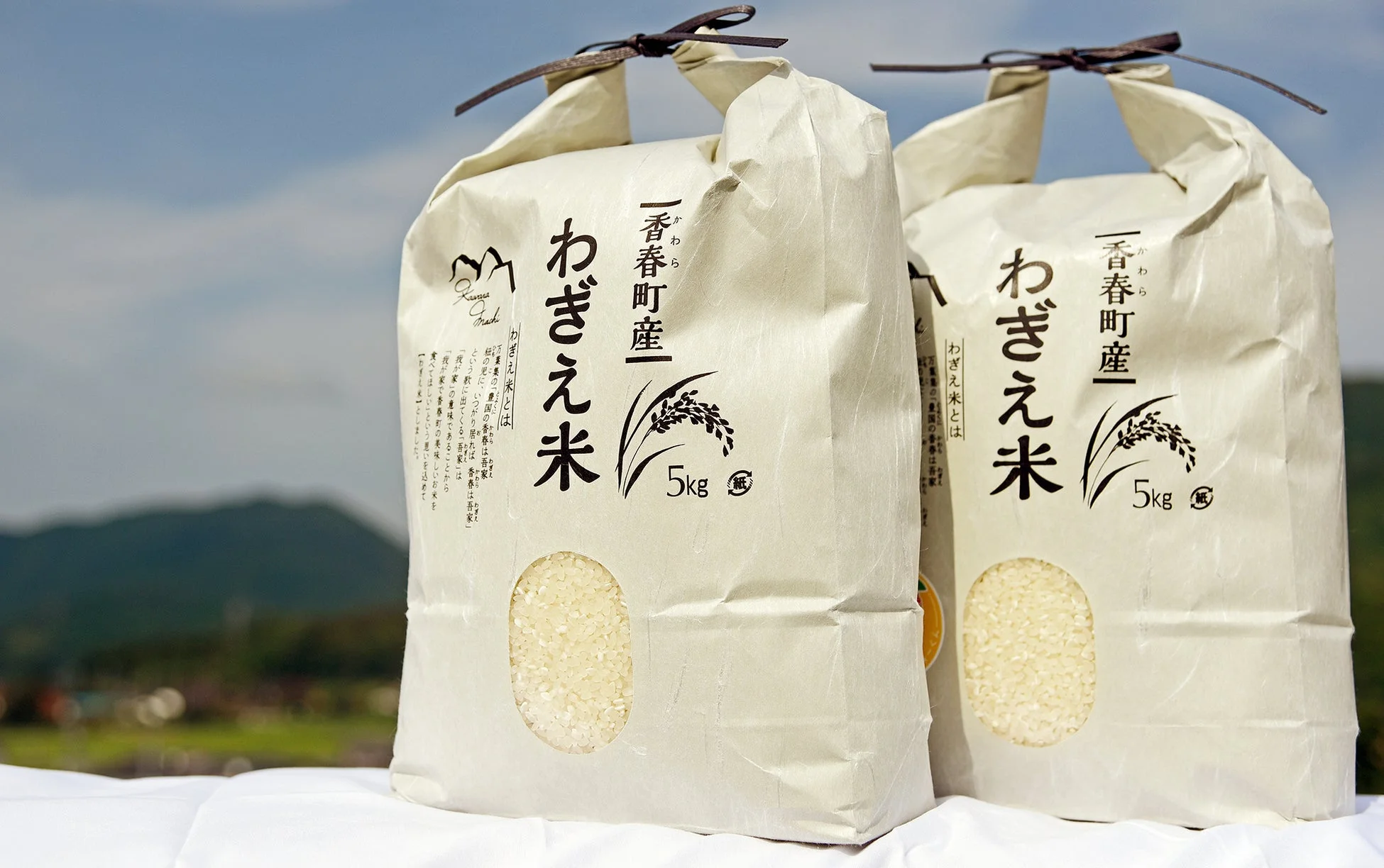 青空と山を背景に、5kg入りの「わぎえ米」と書かれた米袋が2つ並んでいます。袋には「一春町産」と記され、透明な窓から白米が見えています。