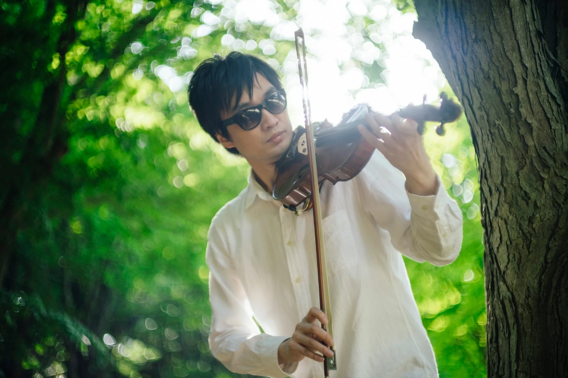 緑豊かな木々の中で、サングラスをかけた男性がバイオリンを演奏している様子。