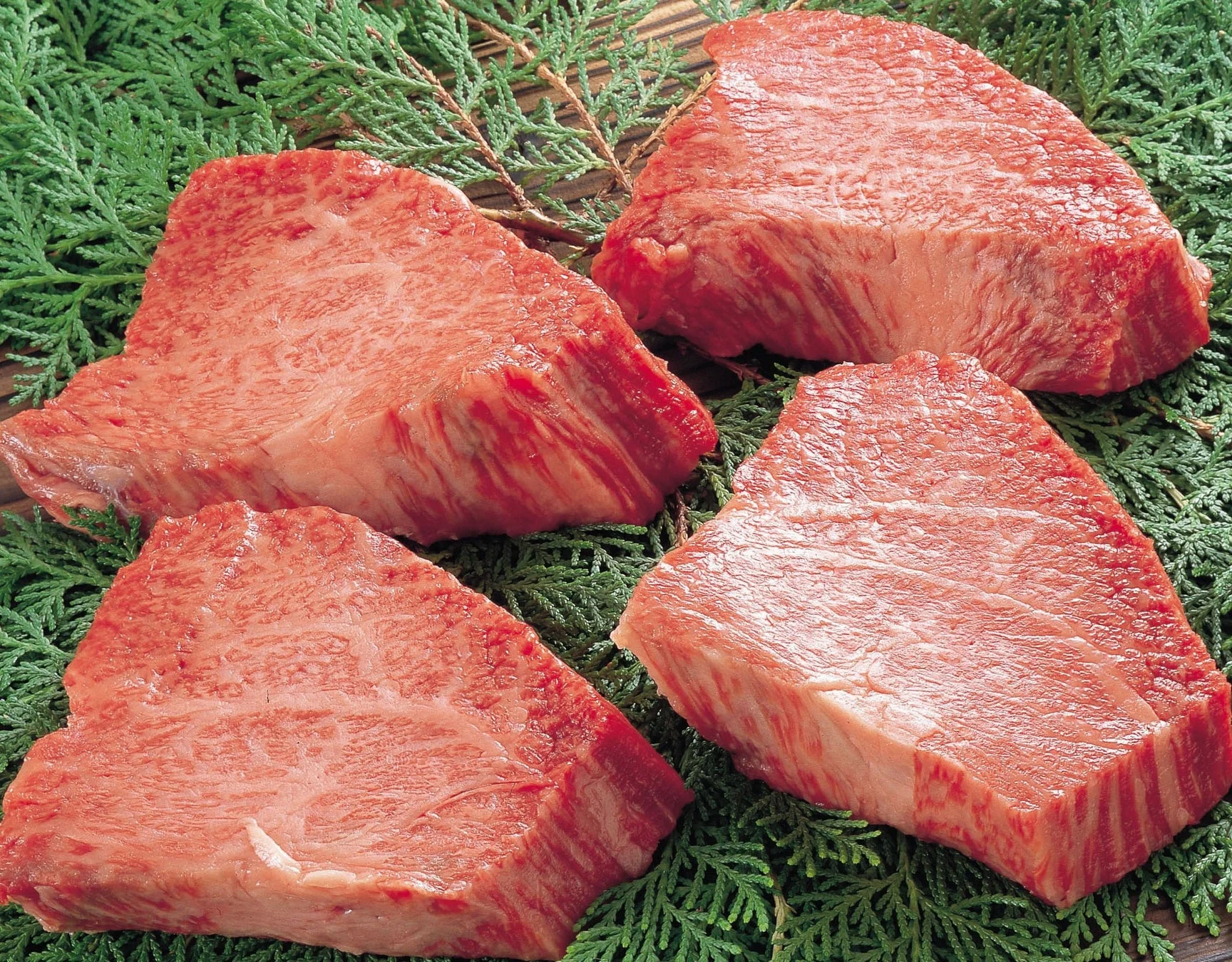 塊肉