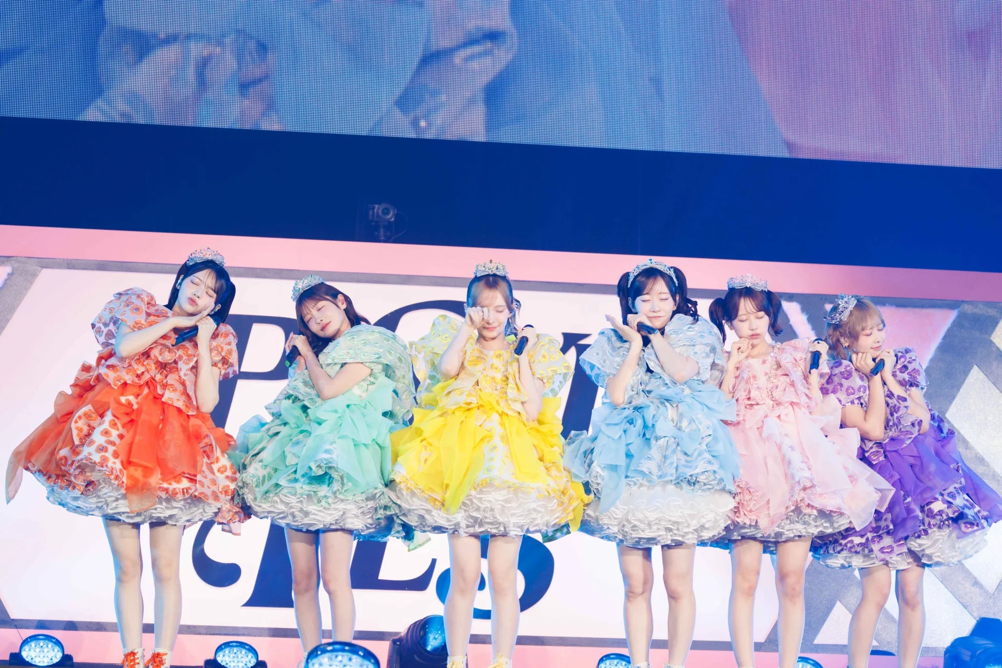 FRUITS ZIPPER
