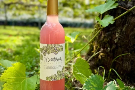 田主丸の巨峰から生まれる新酒「ワインの赤ちゃん 2026」が新たな装いで登場、25年の歴史を紡ぐ
