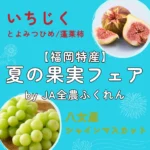 福岡県産旬の果実が集結！博多駅マイング広場で「夏の果実フェアby JA全農ふくれん」開催